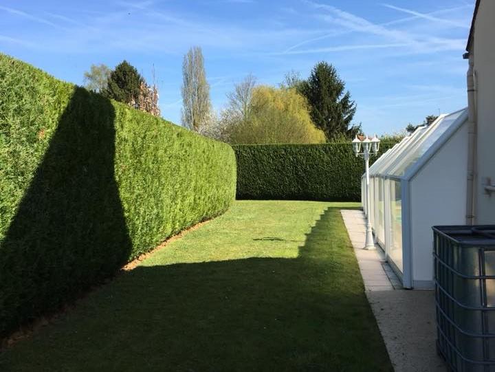 haie entretenue
