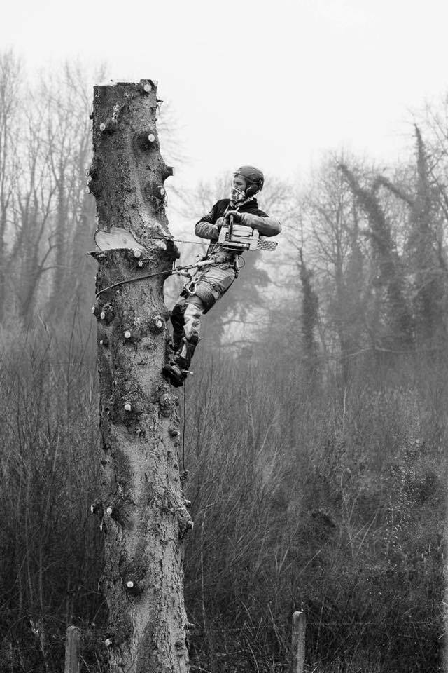 photo noir et blanc élagage